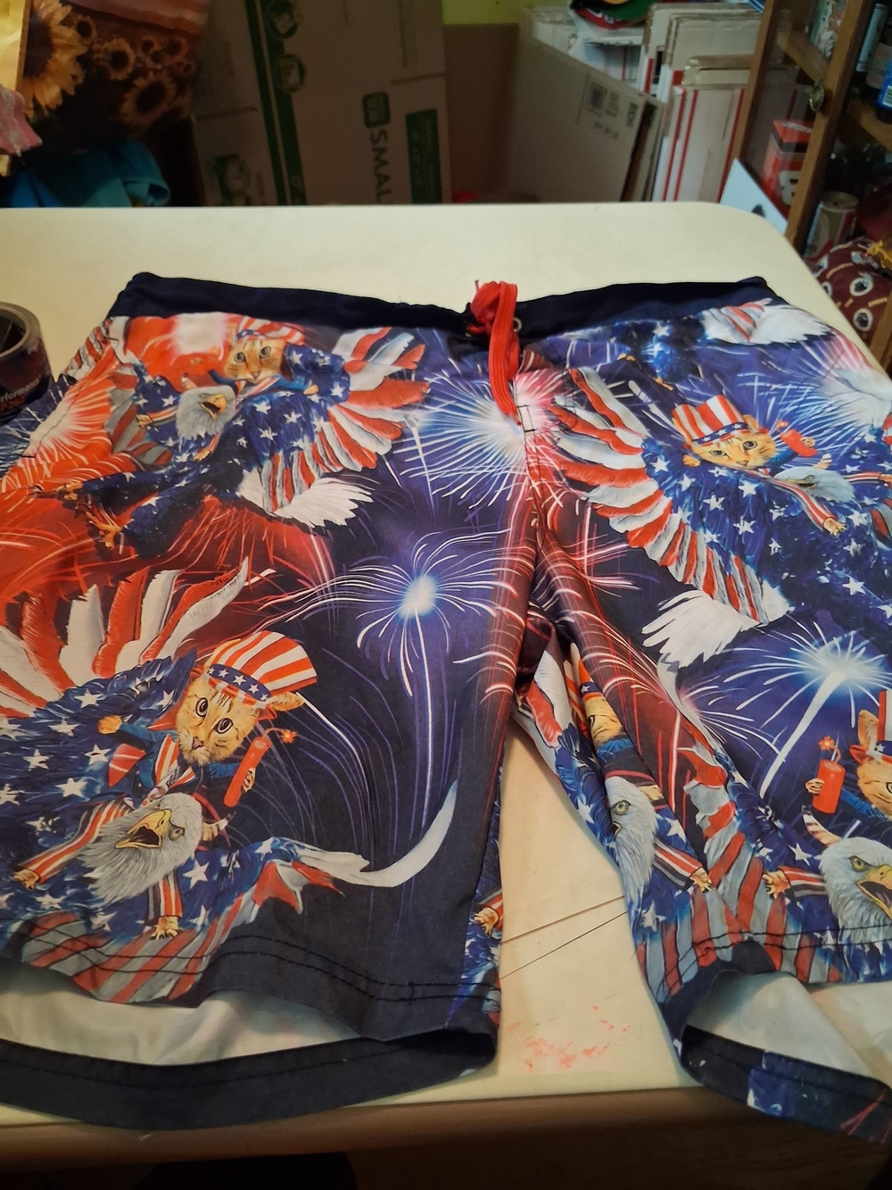 Swim Trunks
